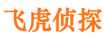 城关市调查公司